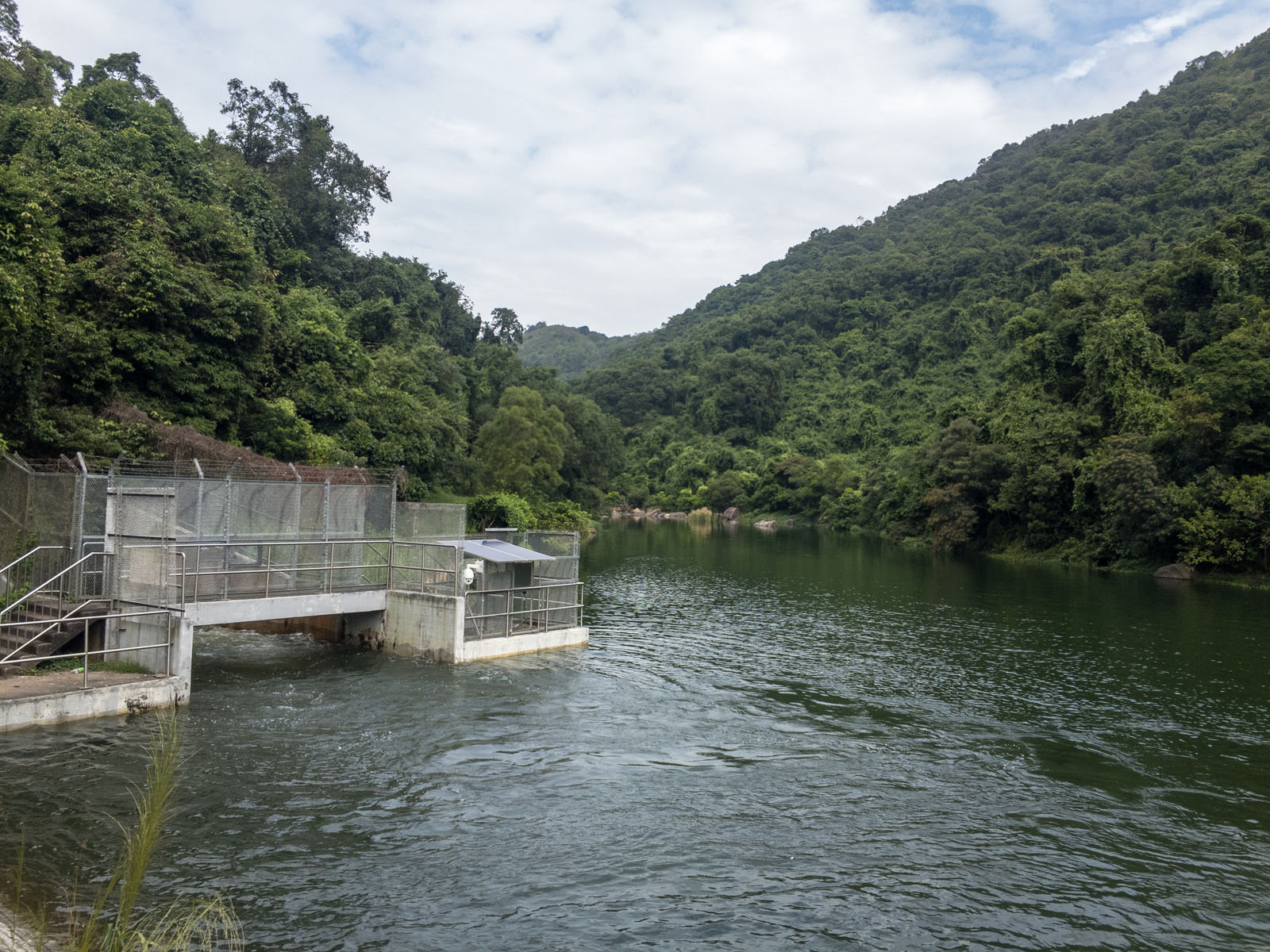 Photo 3: Plover Cove Reservoir