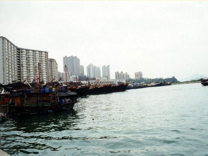 Photo 2: Tuen Mun Public Cargo Working Area