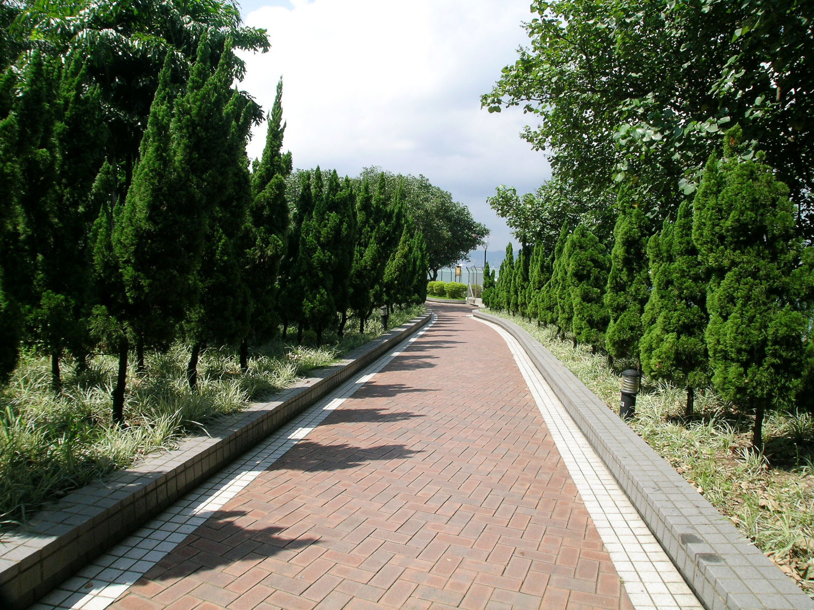 相片 4: 鰂魚涌公園