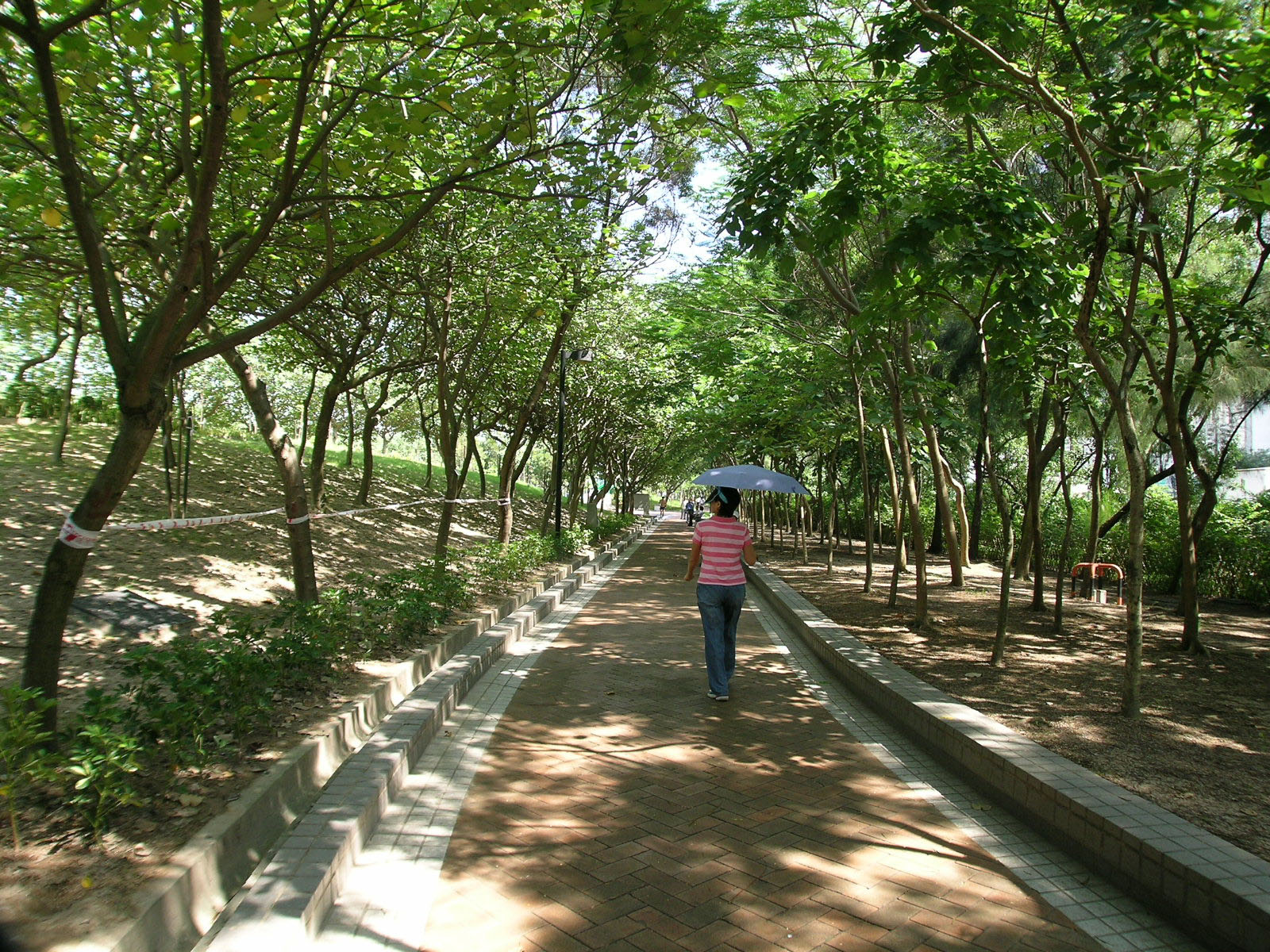 相片 5: 鰂魚涌公園