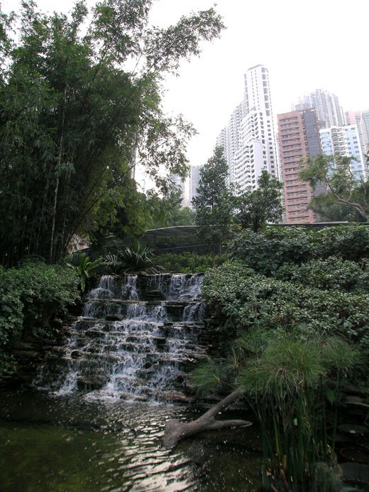 Photo 5: Hong Kong Zoological and Botanical Gardens