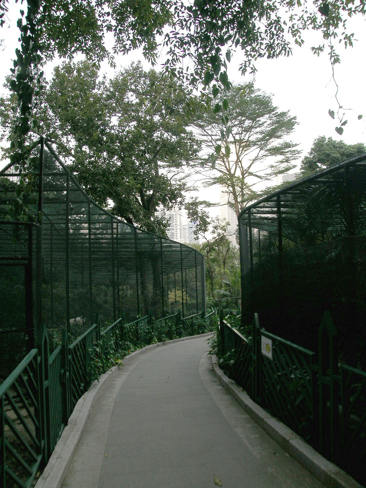 Photo 6: Hong Kong Zoological and Botanical Gardens