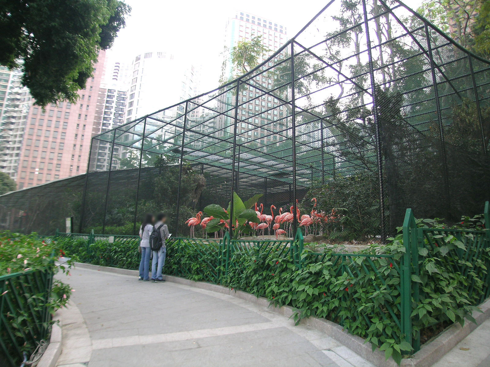 Photo 10: Hong Kong Zoological and Botanical Gardens