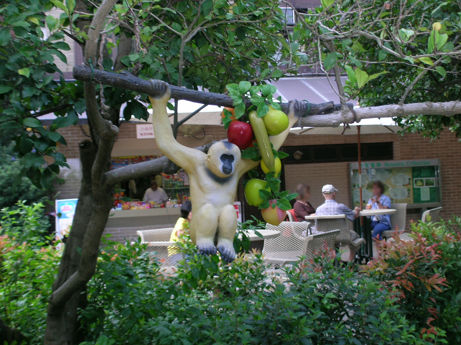 Photo 12: Hong Kong Zoological and Botanical Gardens