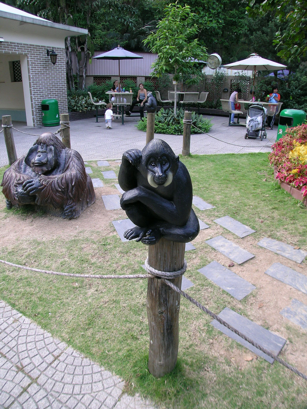 Photo 13: Hong Kong Zoological and Botanical Gardens