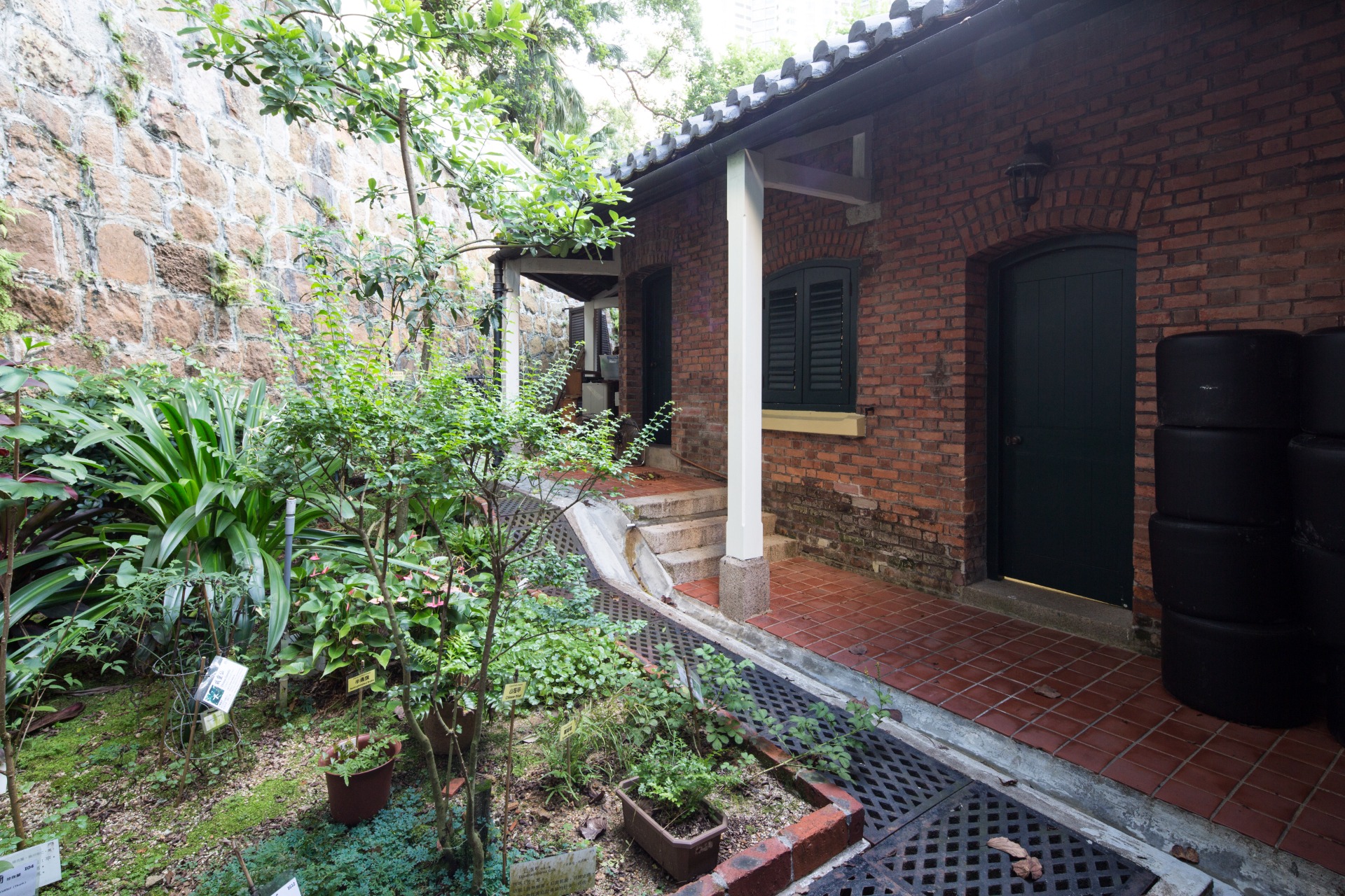 相片 19: 香港醫學博物館