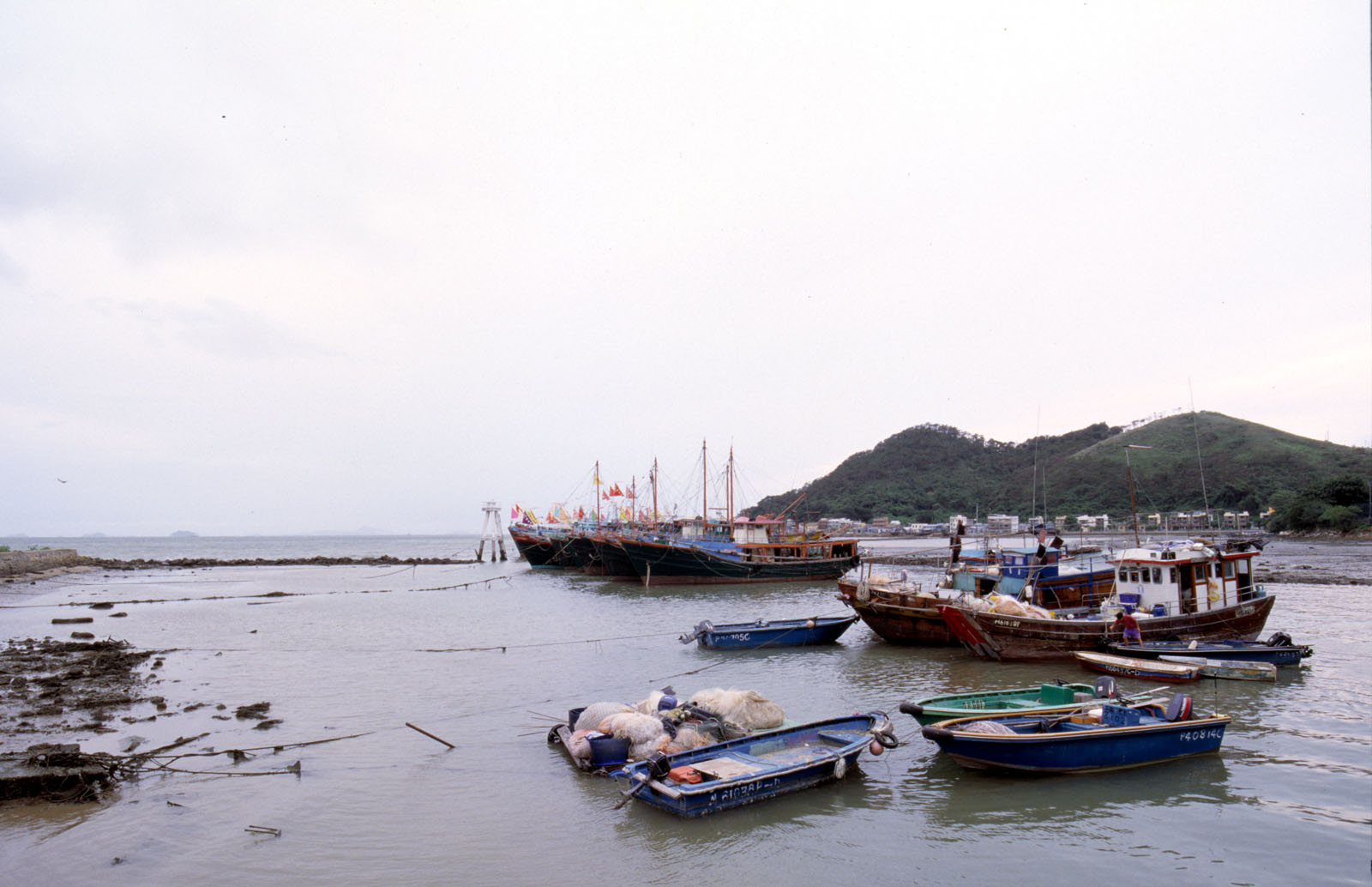 Photo 4: Tai O