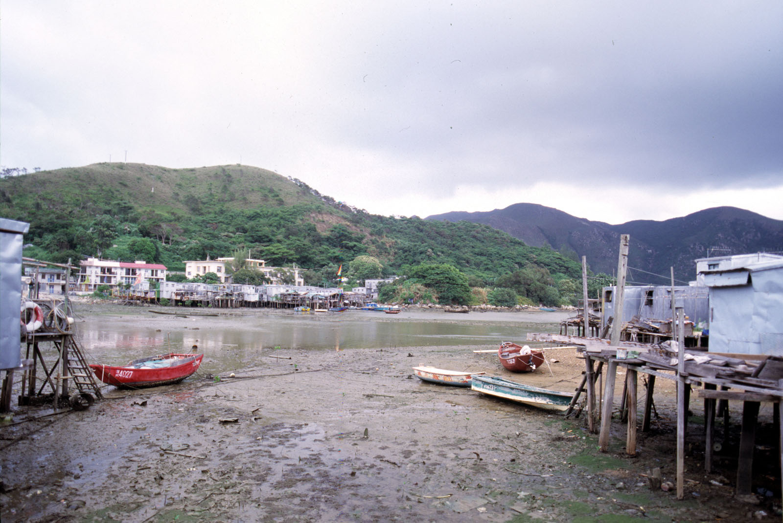 Photo 5: Tai O