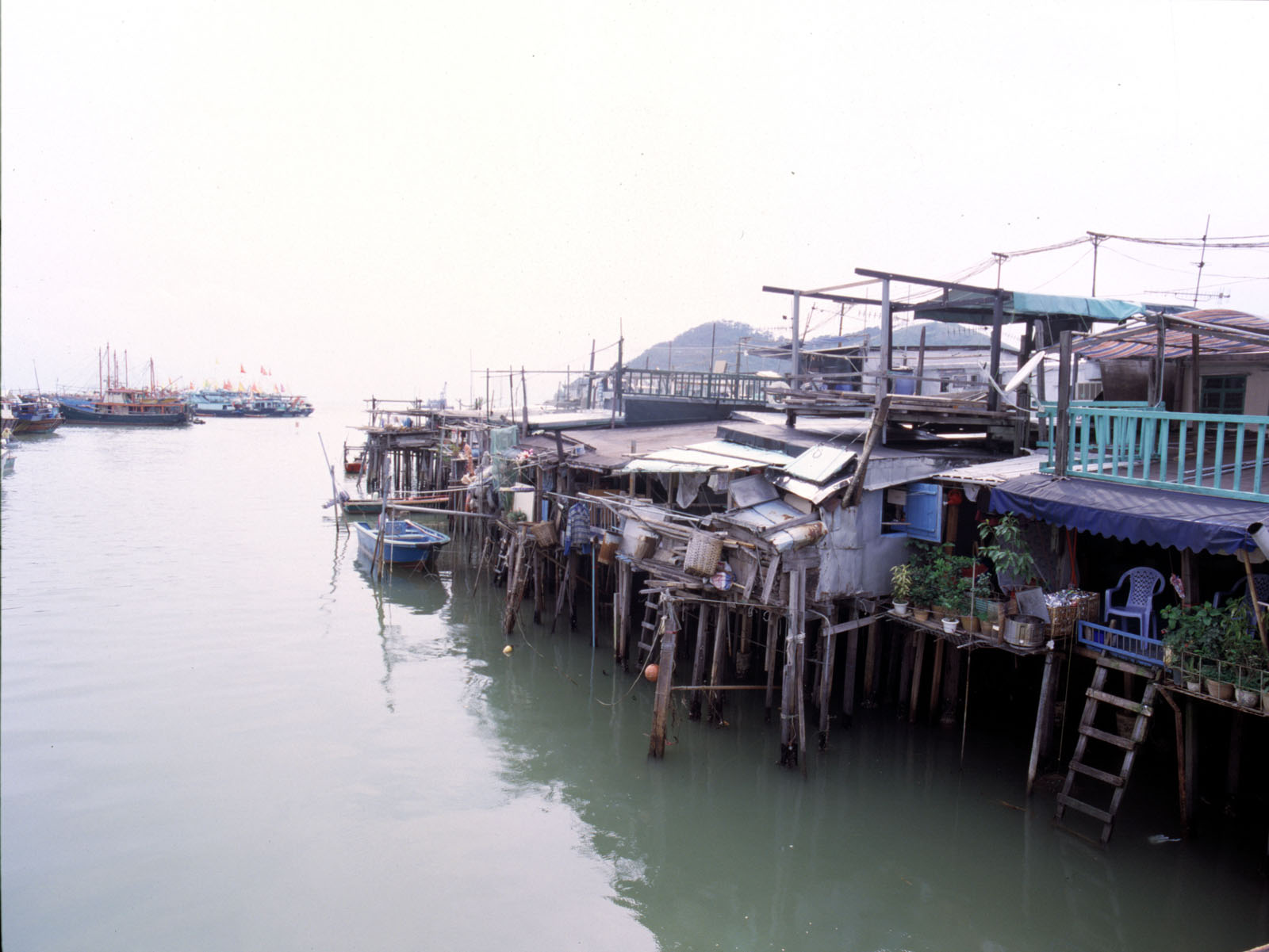 Photo 6: Tai O