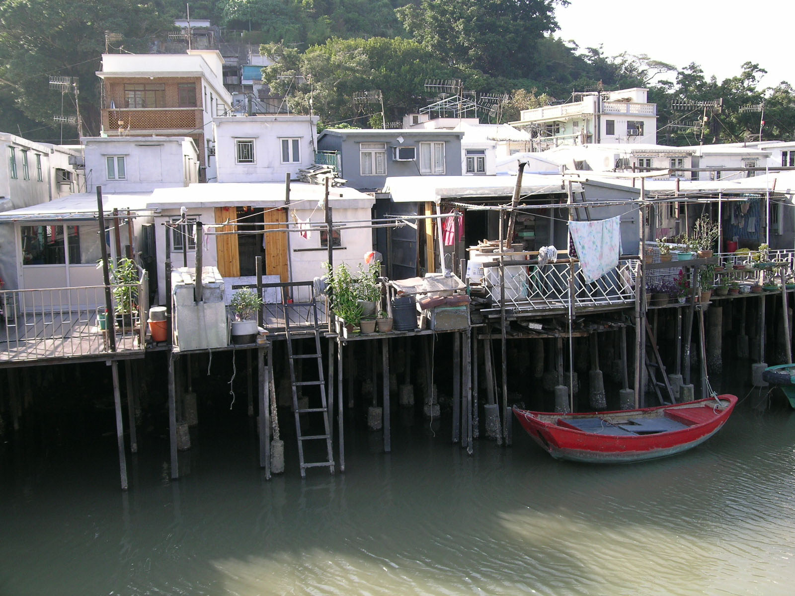 Photo 9: Tai O