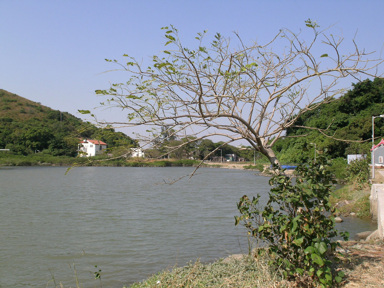 Photo 16: Tai O