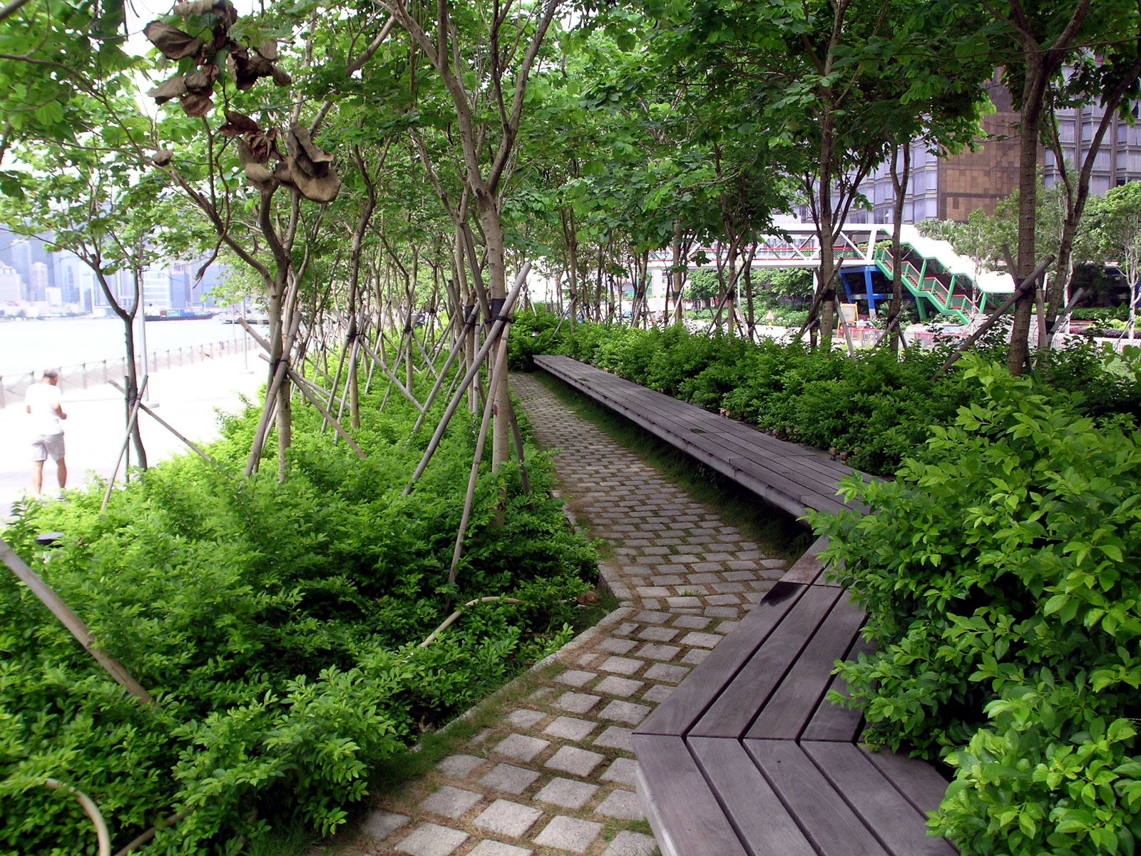 Photo 3: Tsim Sha Tsui Promenade