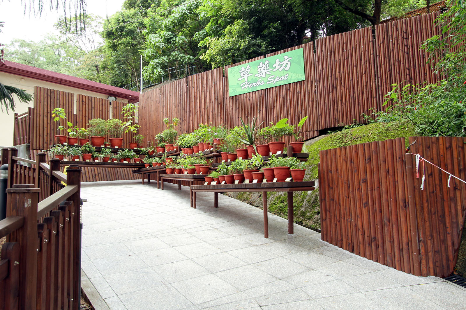 Photo 3: Lady MacLehose Holiday Village