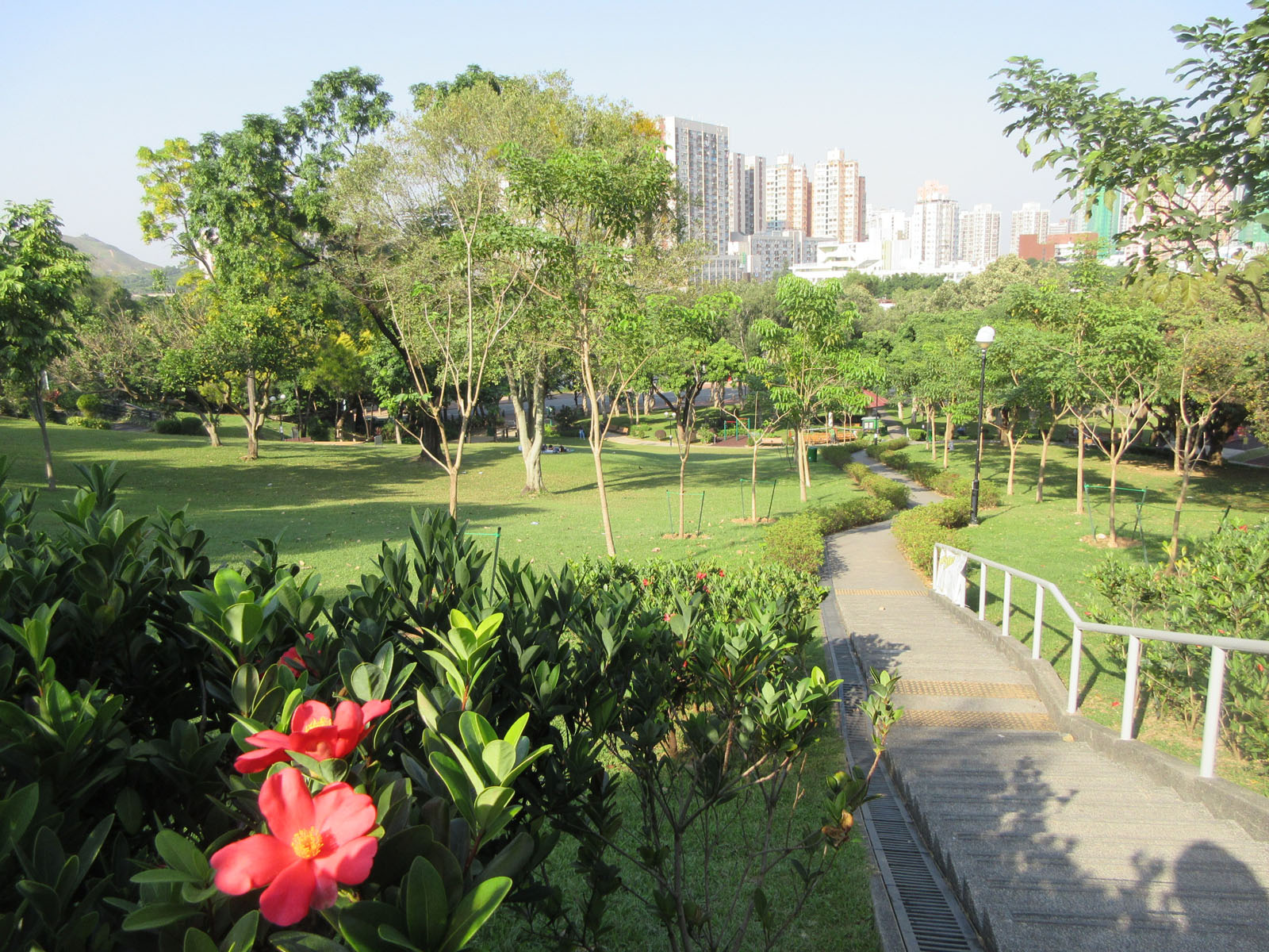 Photo 2: Yuen Long Park