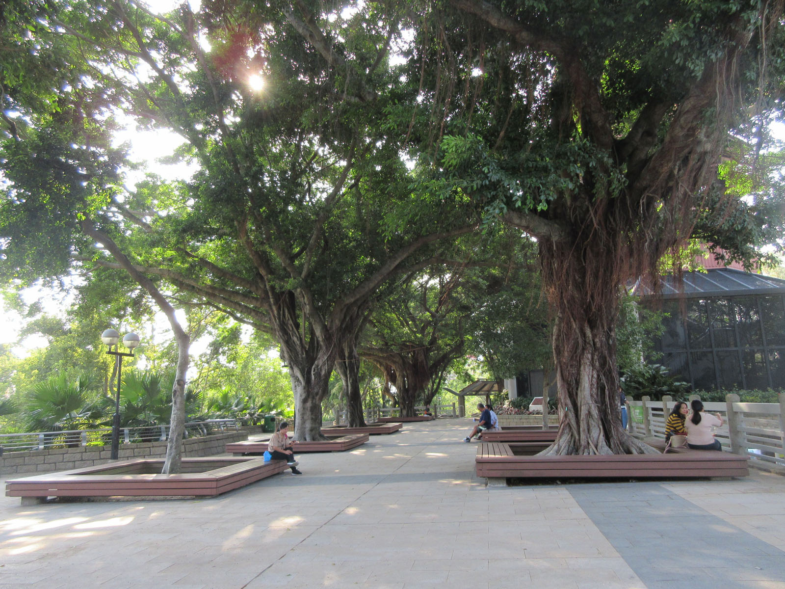 Photo 5: Yuen Long Park