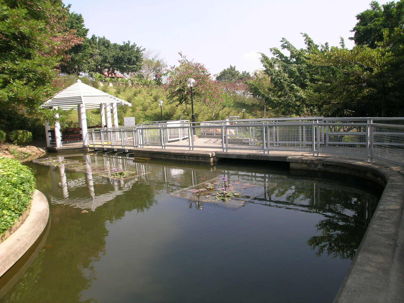 Photo 12: Yuen Long Park