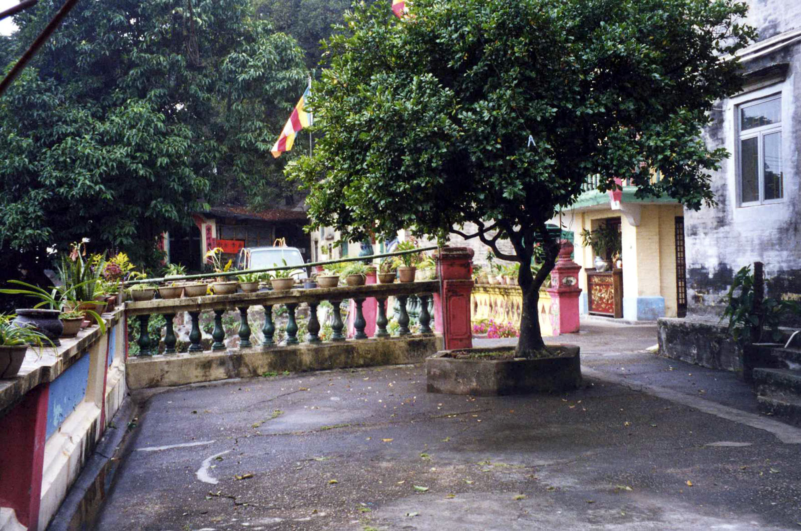 Photo 4: Tsing Shan Monastery