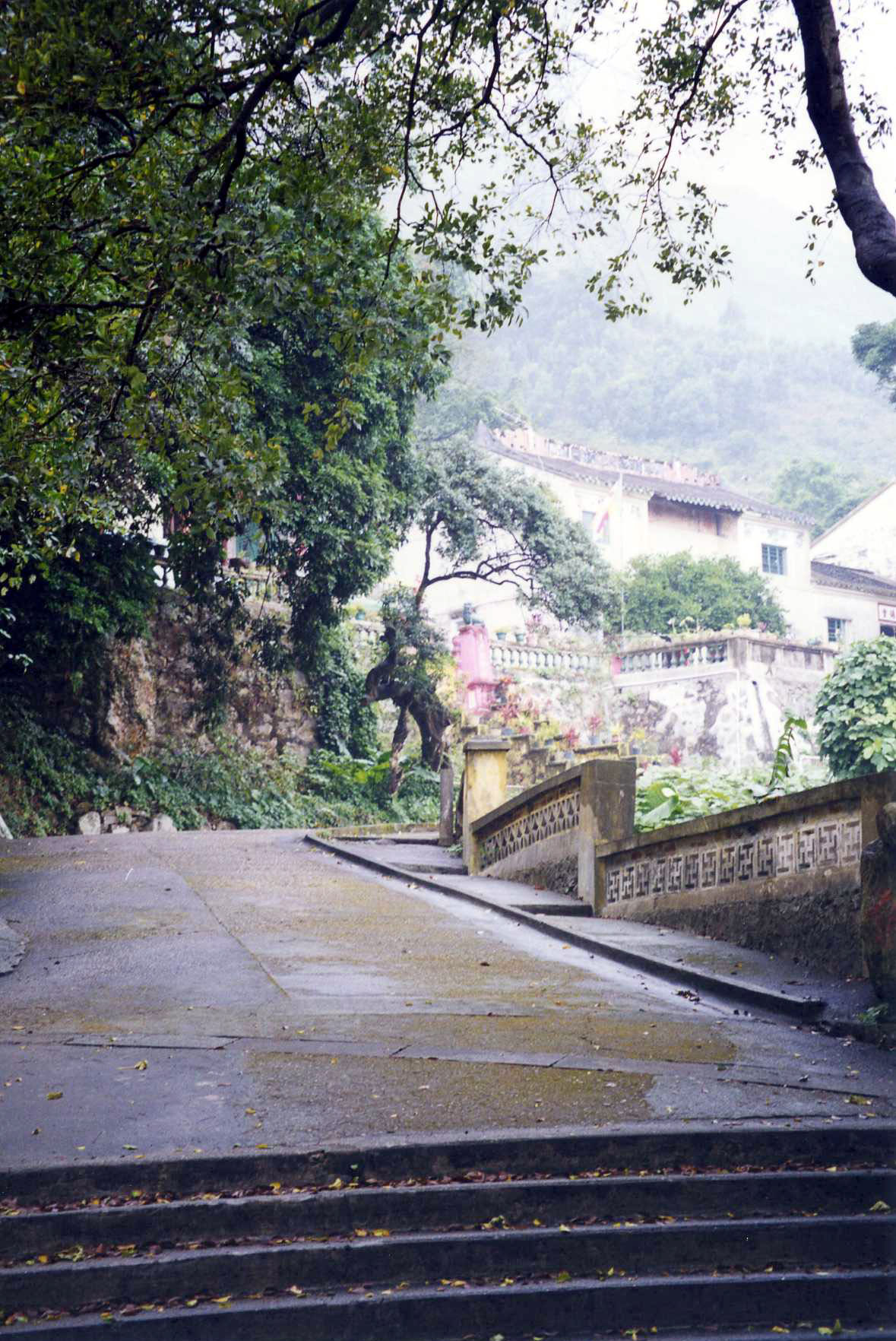 Photo 5: Tsing Shan Monastery