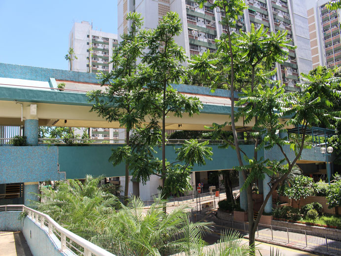 Photo 4: Wang Tau Hom Estate