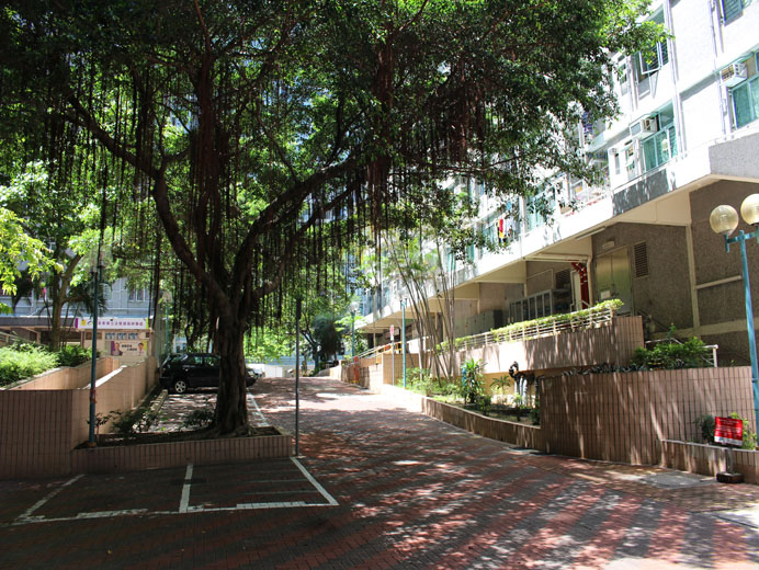 Photo 8: Wang Tau Hom Estate