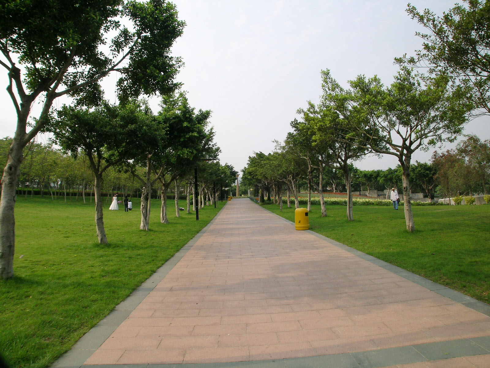 Photo 6: Tai Po Waterfront Park