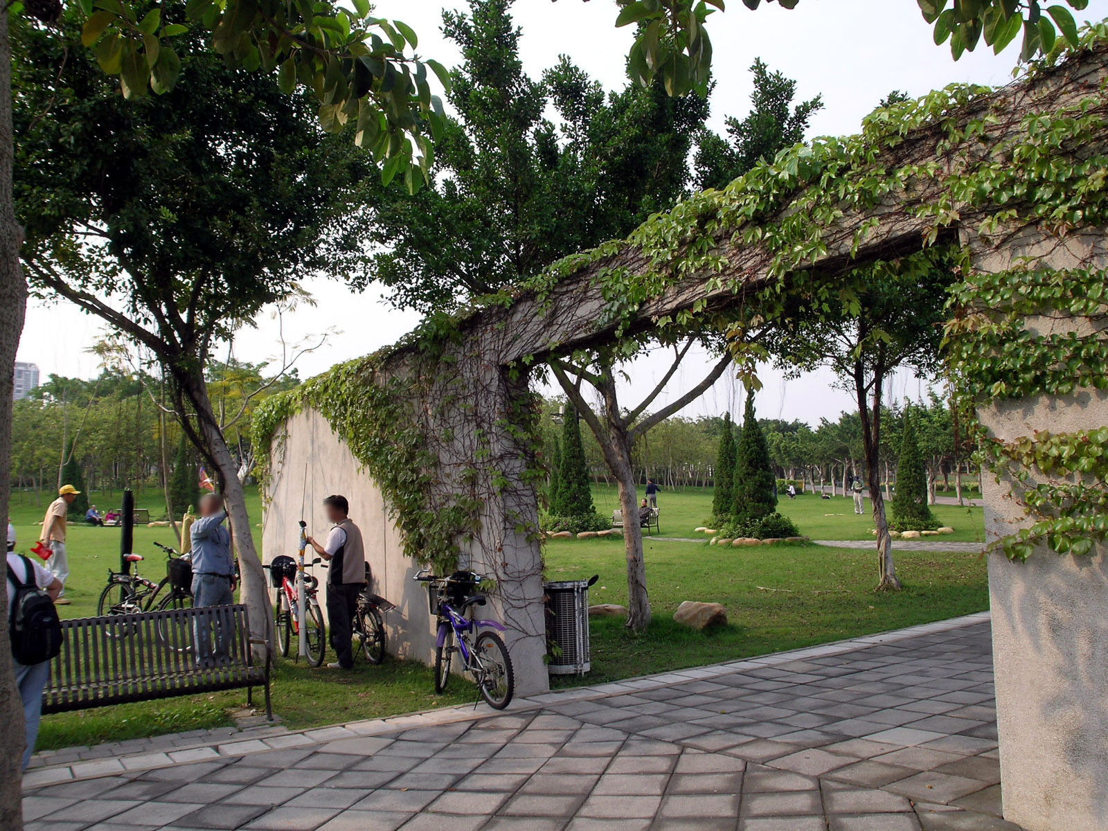 Photo 7: Tai Po Waterfront Park