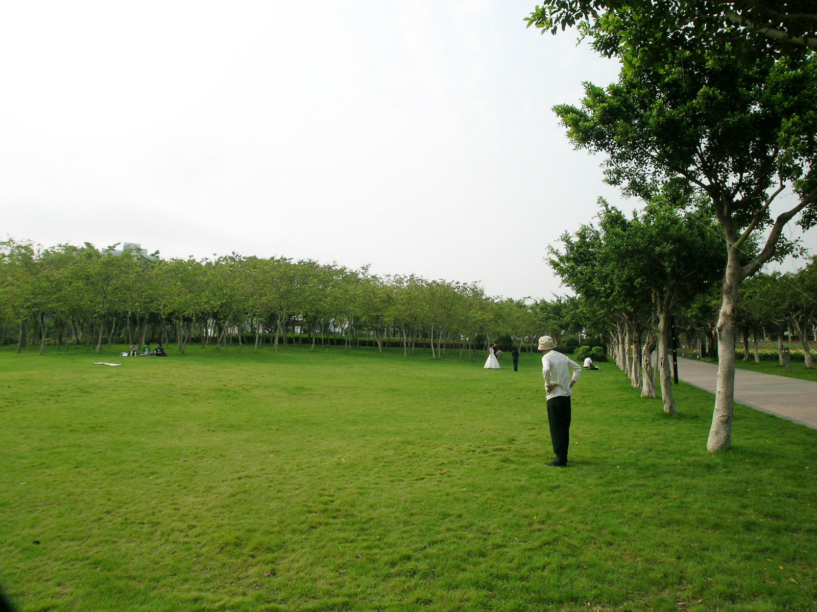 Photo 8: Tai Po Waterfront Park