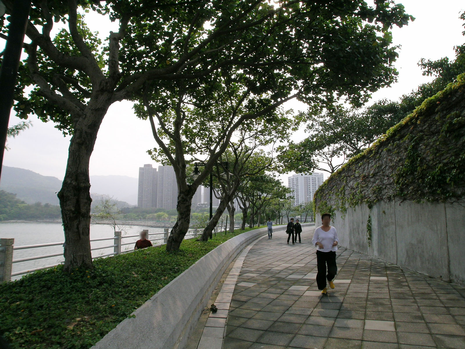 Photo 20: Tai Po Waterfront Park