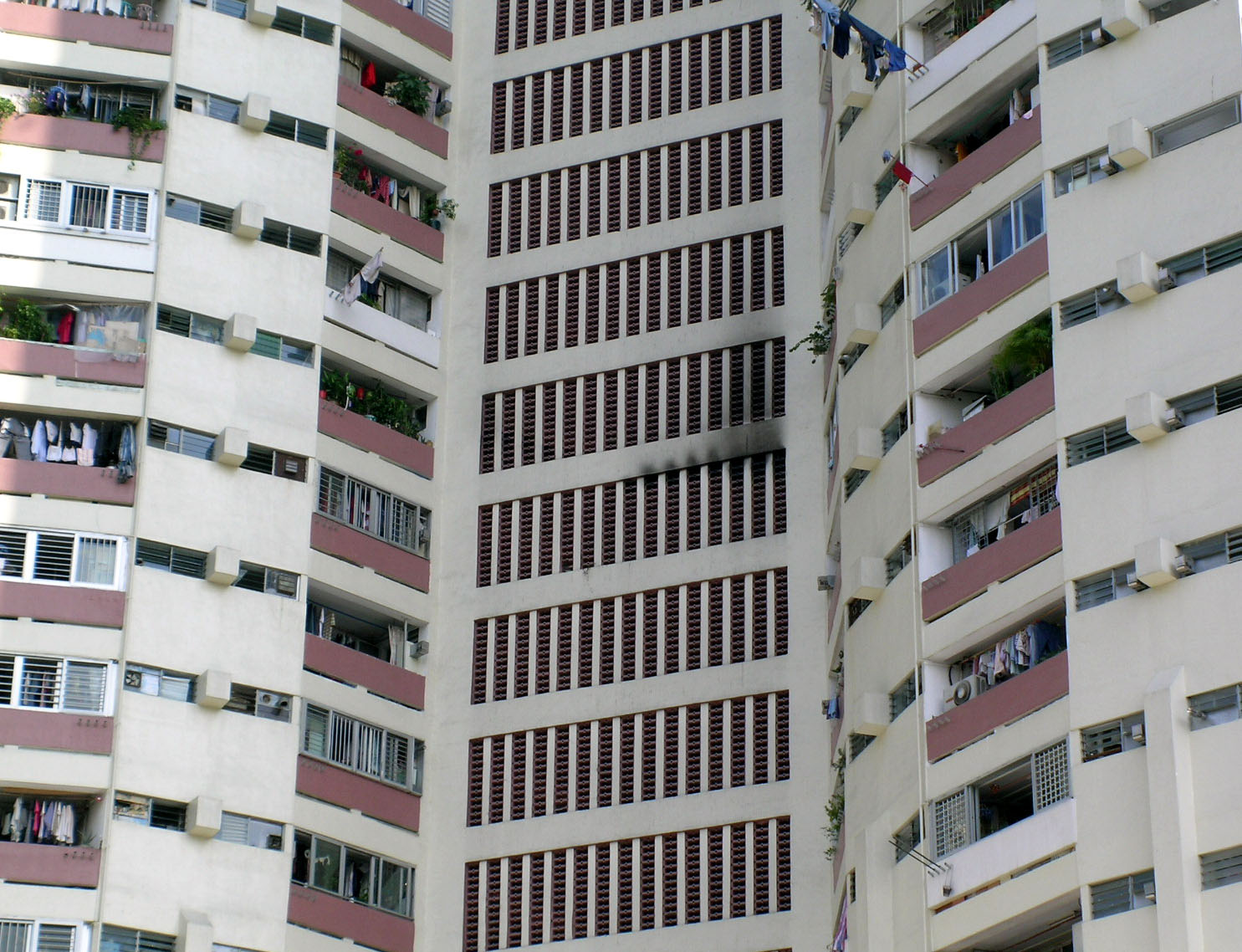 Photo 5: Lai Tak Tsuen