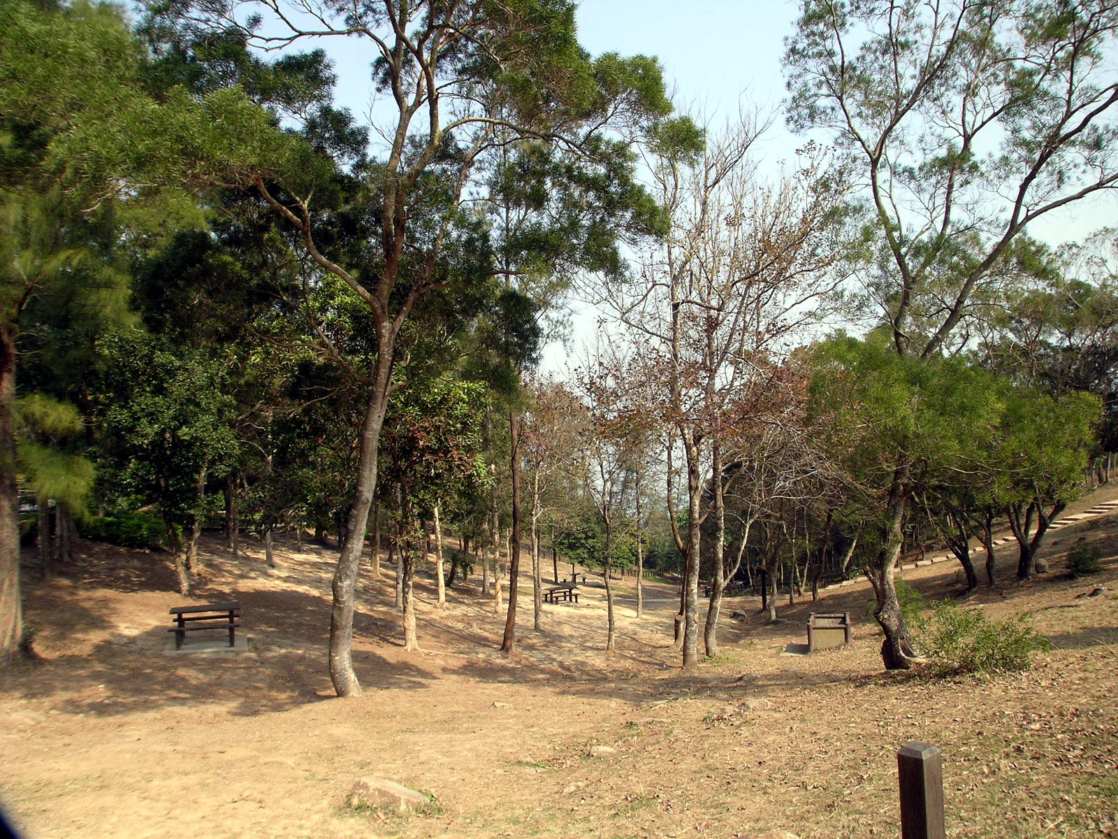 相片 8: 清水灣郊野公園