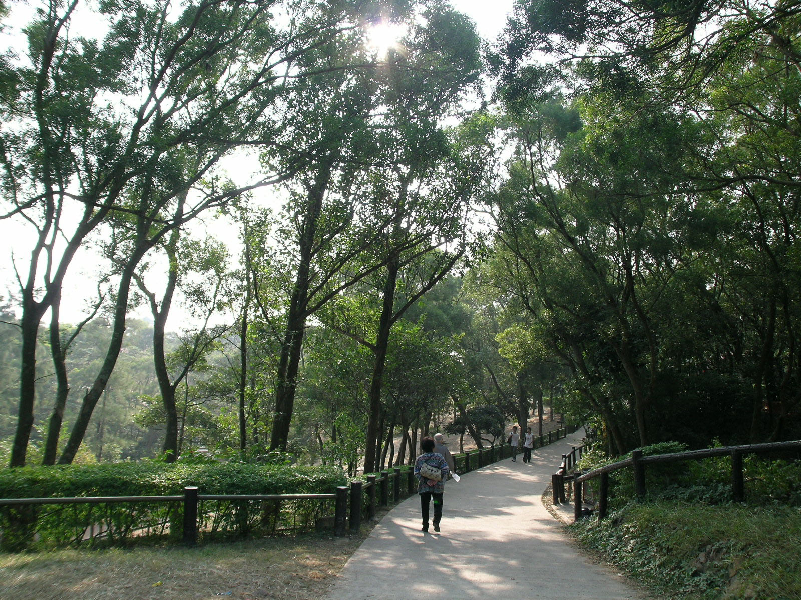 相片 13: 清水灣郊野公園