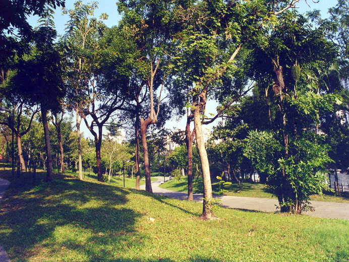 Photo 12: Sha Tin Park