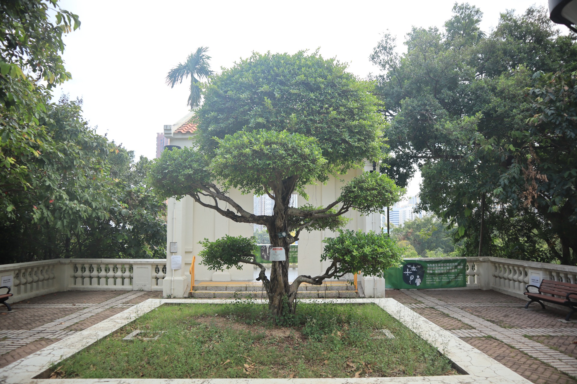 相片 9: 青衣公園