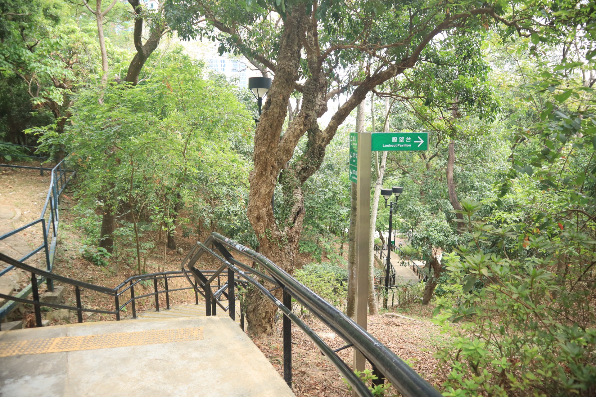 相片 14: 青衣公園