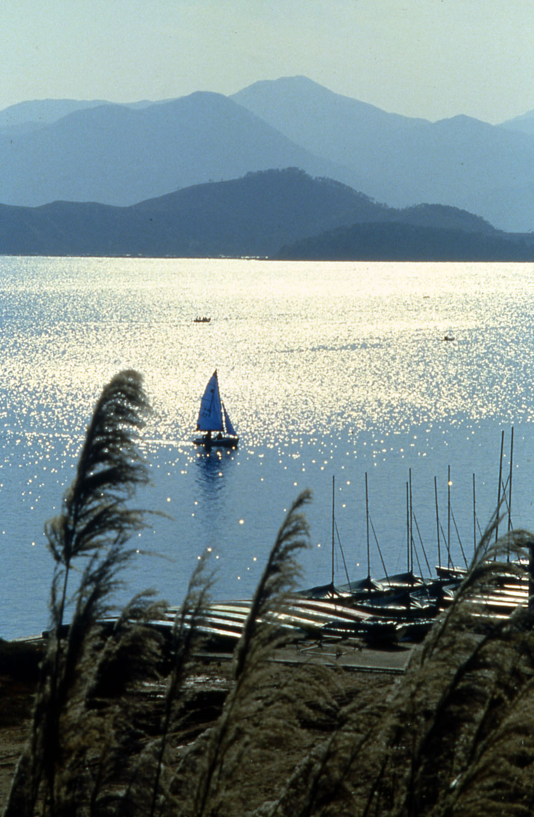 Photo 3: Tolo Harbour