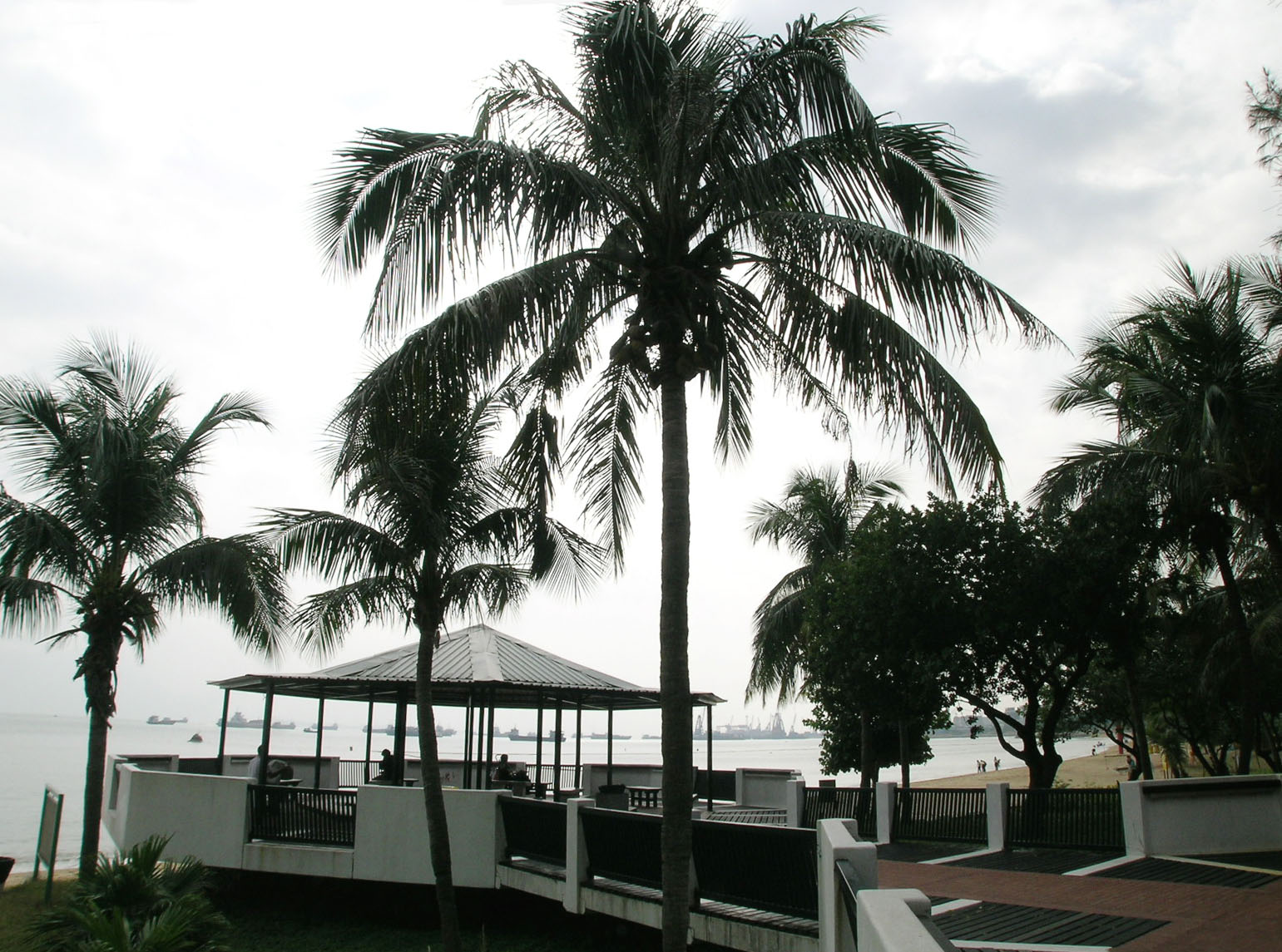 Photo 7: Tuen Mun Butterfly Beach Park