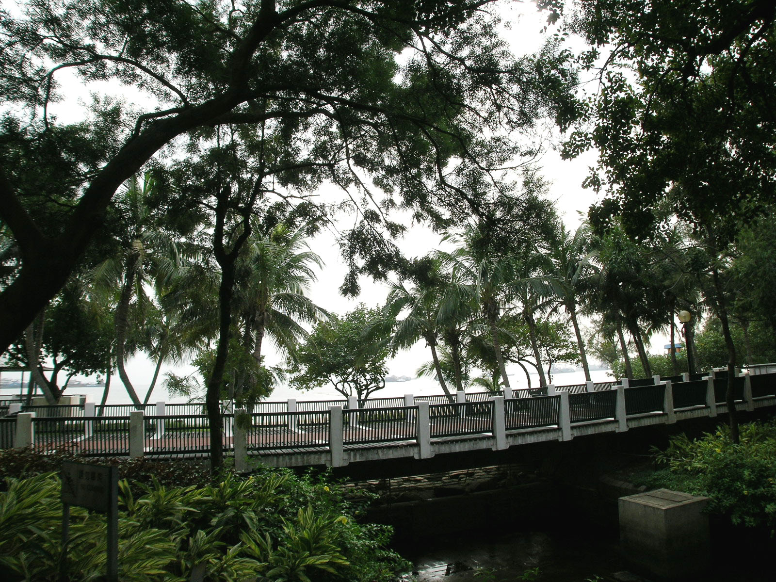 Photo 14: Tuen Mun Butterfly Beach Park