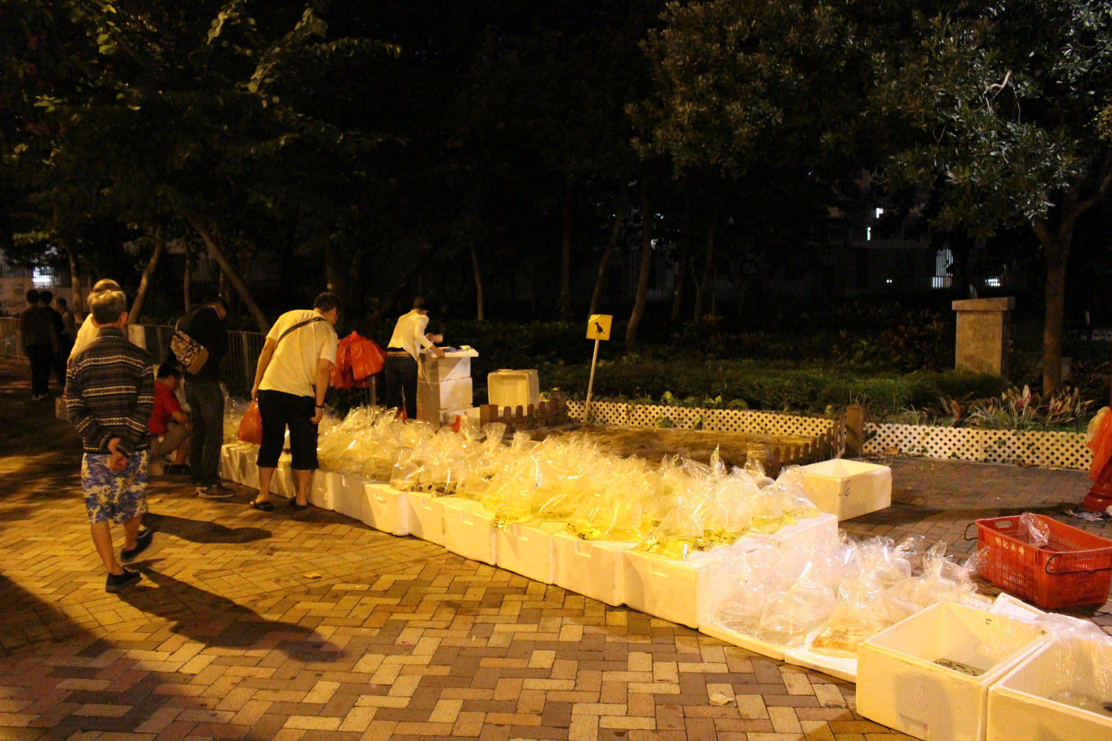 Photo 2: Goldfish Market