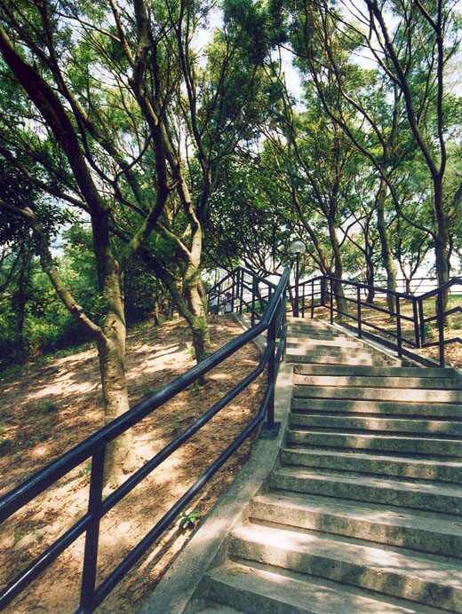 Photo 7: Lam Tin Park