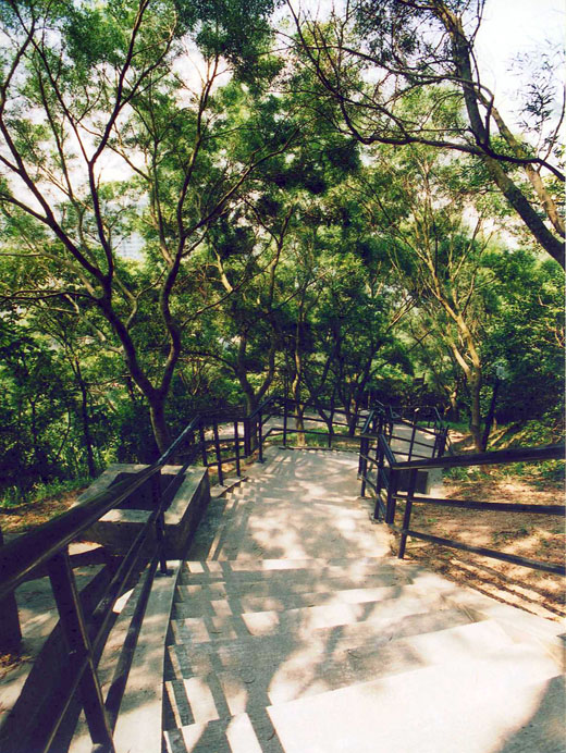 Photo 8: Lam Tin Park