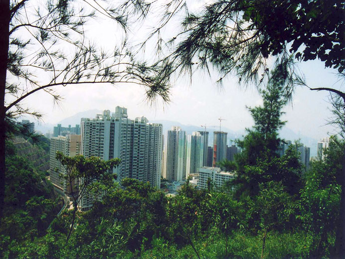 Photo 9: Lam Tin Park