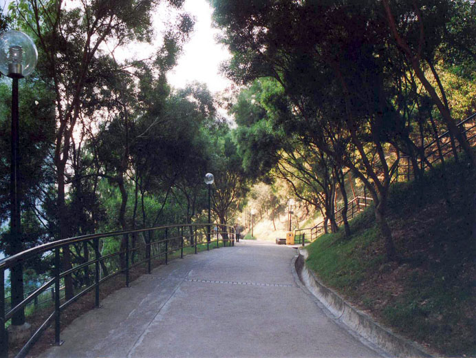 Photo 11: Lam Tin Park