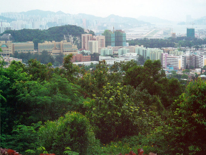 Photo 4: Lung Cheung Road Lookout