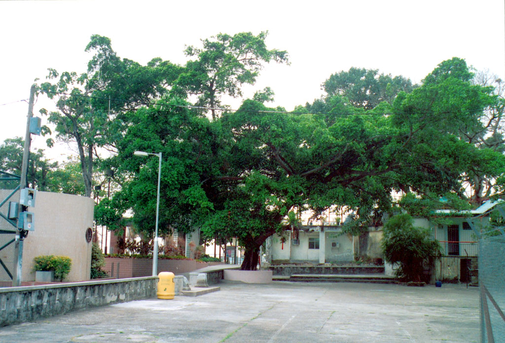 Photo 7: Lei Yue Mun