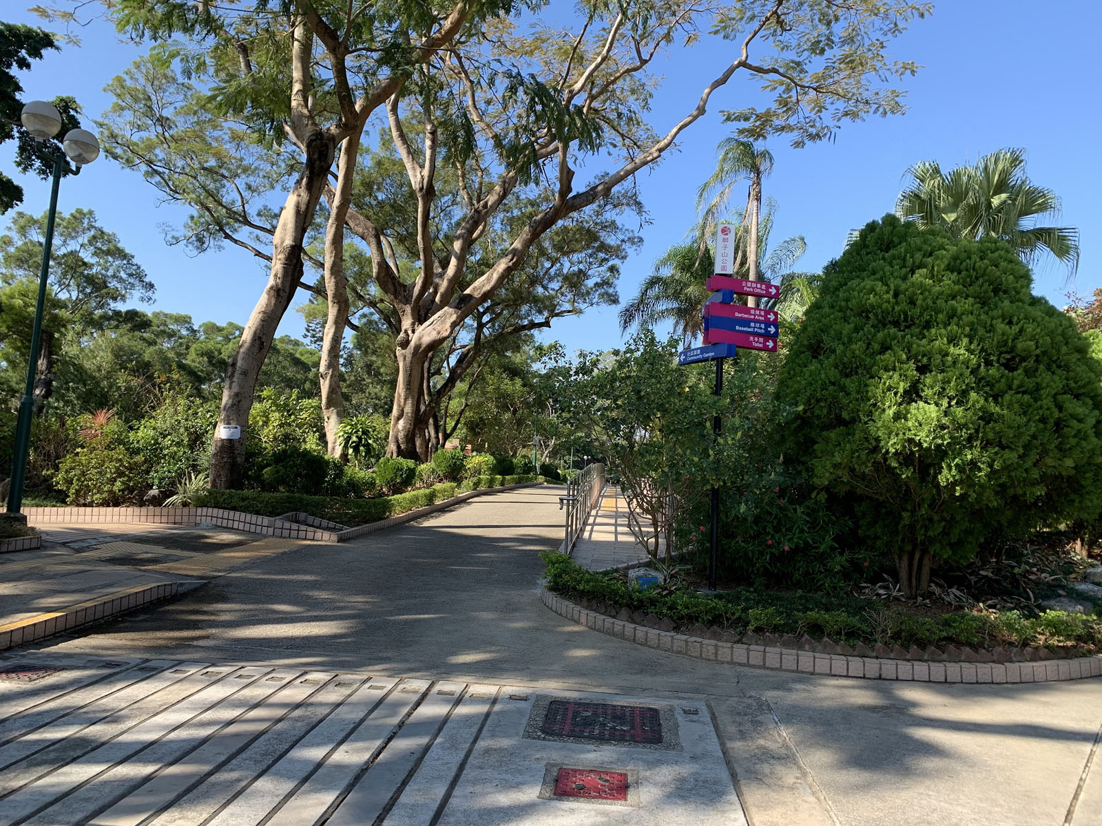 Lion Rock Park