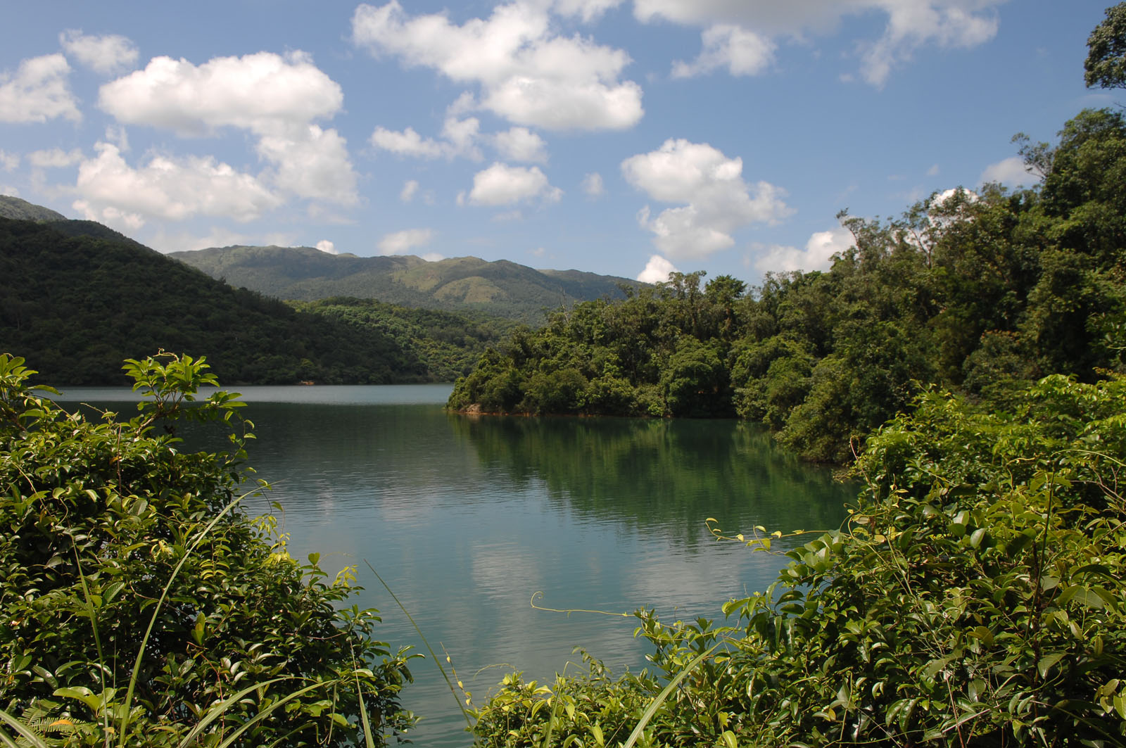 Photo 6: Shing Mun Reservoir