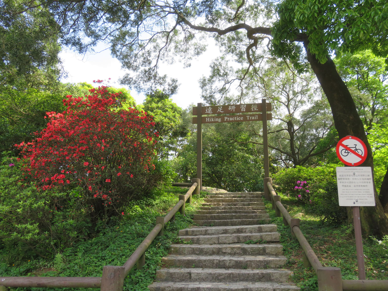 Photo 8: Tai Mo Shan Country Park