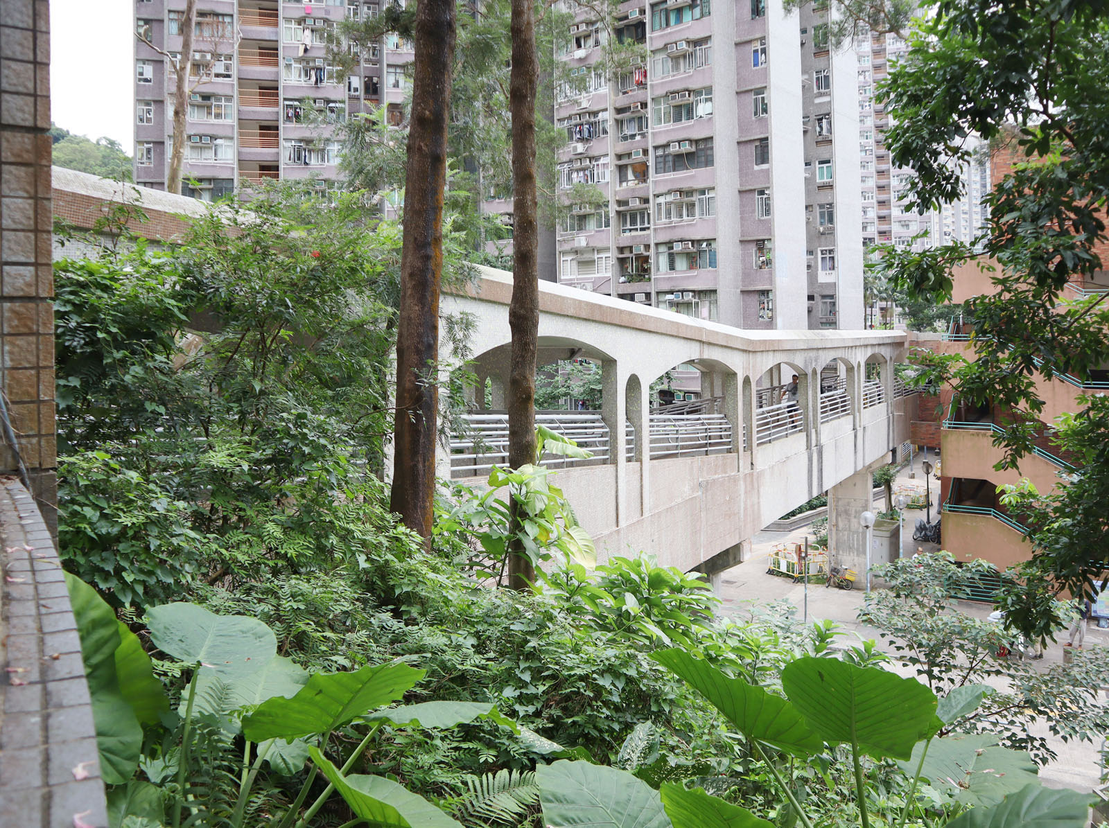 Photo 5: Hong Lam Court