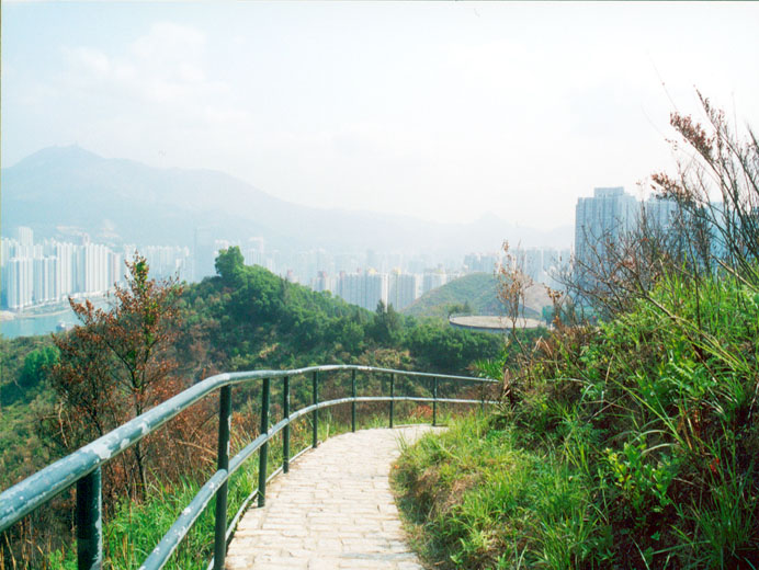 Photo 3: Tsing Yi Nature Trails