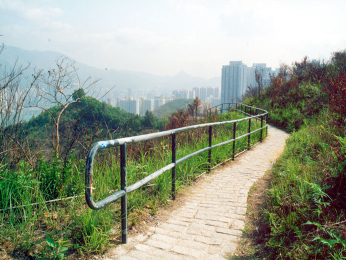 Photo 4: Tsing Yi Nature Trails